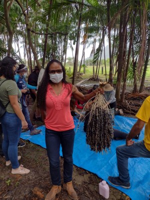 Pesquisadora trabalha com açaí há mais de 10 anos