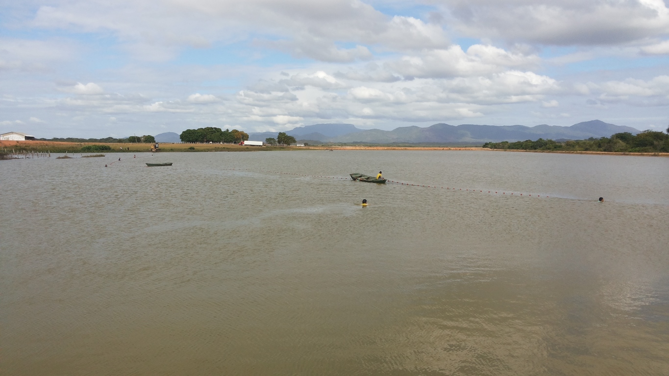 IFRR participa de oficina sobre pesquisa e monitoramento da biodiversidade aquática