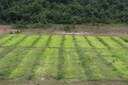 MESTRADO EM AGROECOLOGIA – Inscrições no processo seletivo podem ser realizadas até 23 de janeiro MESTRADO EM AGROECOLOGIA – Inscrições no processo seletivo podem ser realizadas até 23 de janeiro